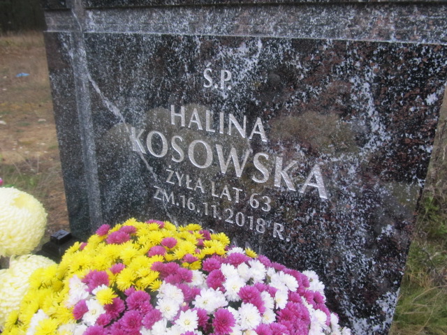 Halina Kosowska 1955 Zawiercie - Grobonet - Wyszukiwarka osób pochowanych