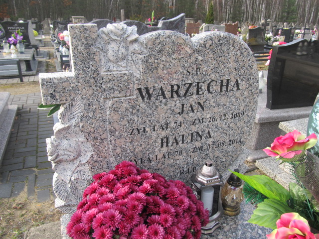 Halina Warzecha 1943 Zawiercie - Grobonet - Wyszukiwarka osób pochowanych