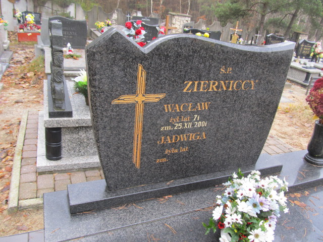 Wacław Ziernicki Zawiercie - Grobonet - Wyszukiwarka osób pochowanych