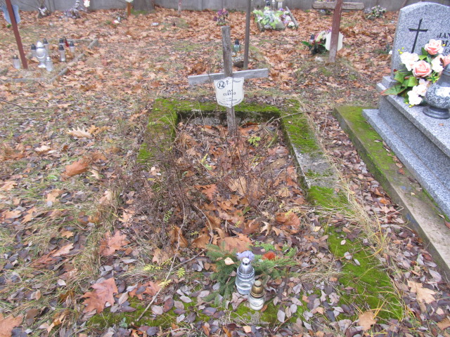 Grób Jan Curyło
