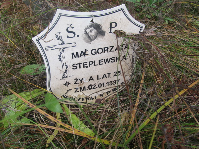 Małgorzata Stęplewska Zawiercie - Grobonet - Wyszukiwarka osób pochowanych