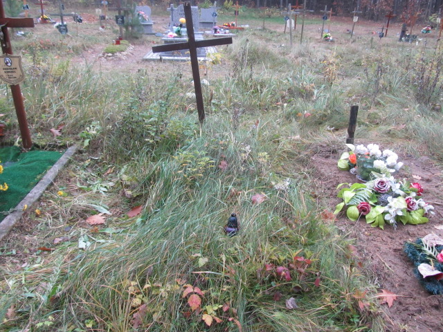 Jarosław Muszyński Zawiercie - Grobonet - Wyszukiwarka osób pochowanych